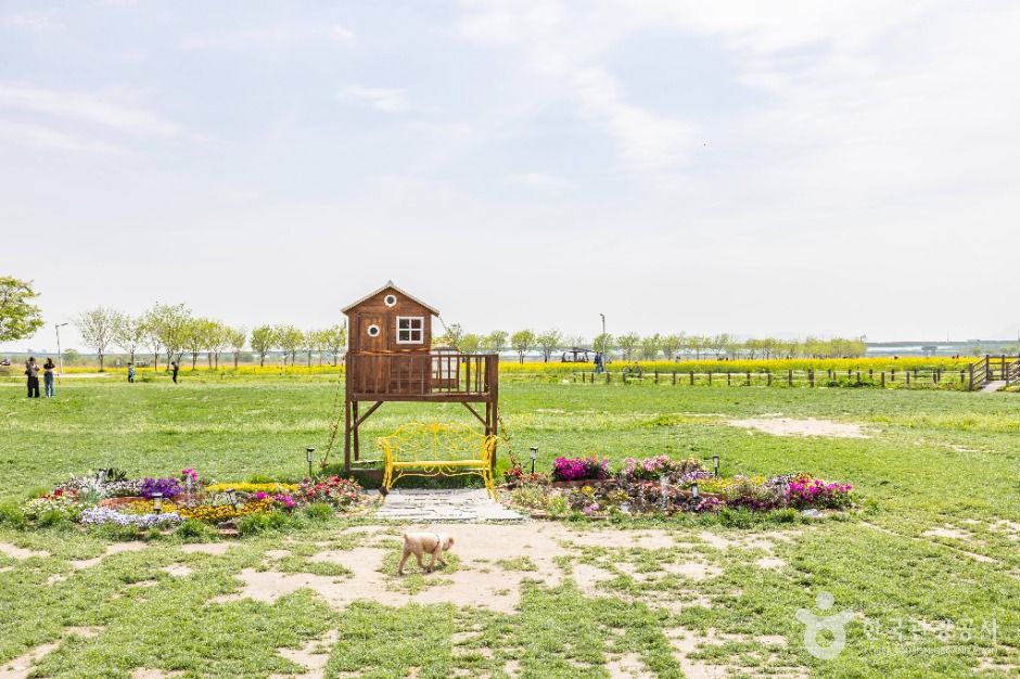 부산_대저생태공원 (5)