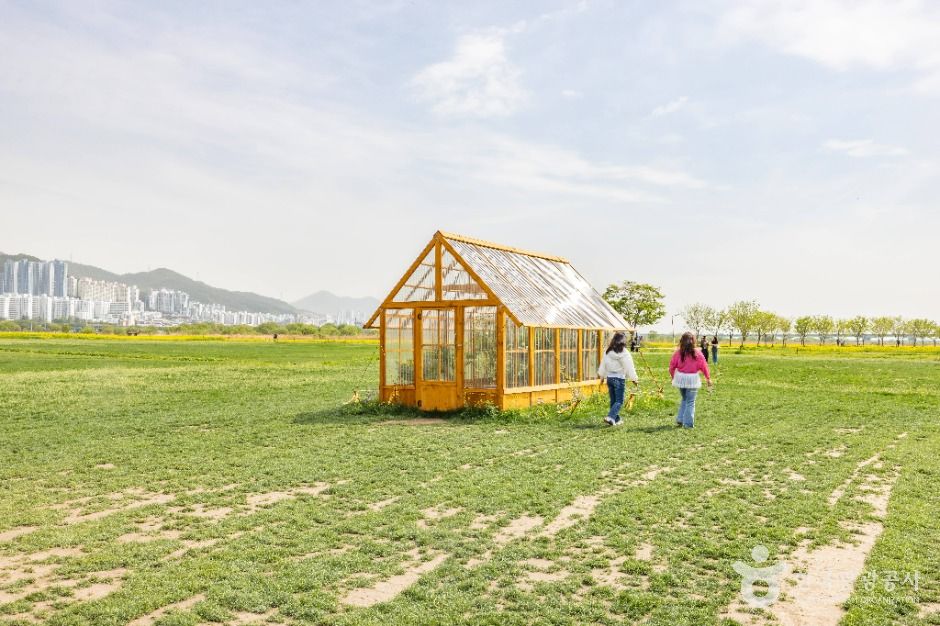 부산_대저생태공원 (7)