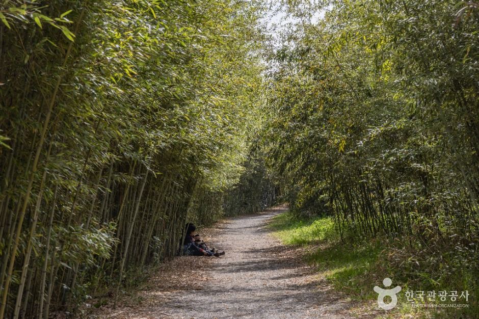 부산_대저생태공원 (15)