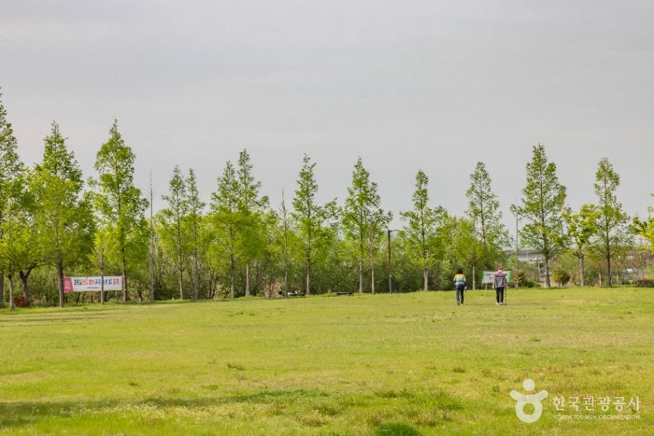 부산_대저수문생태공원 (2)