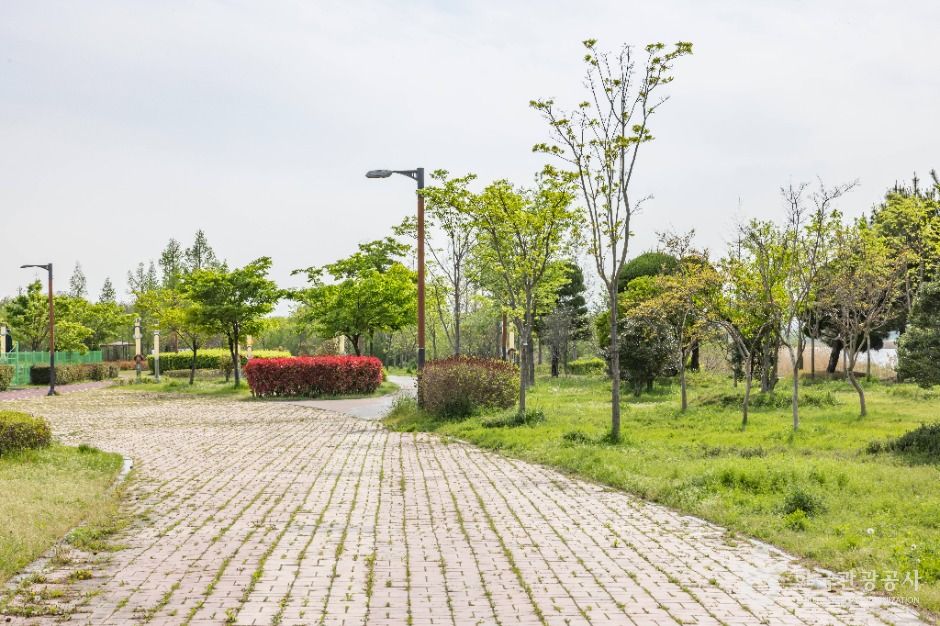 부산_대저수문생태공원 (5)