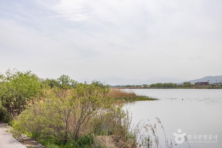 부산_대저수문생태공원 (7)