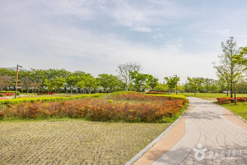 부산_대저수문생태공원 (8)