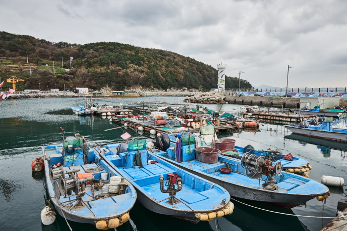 한국문화정보원_대항어촌체험마을_2