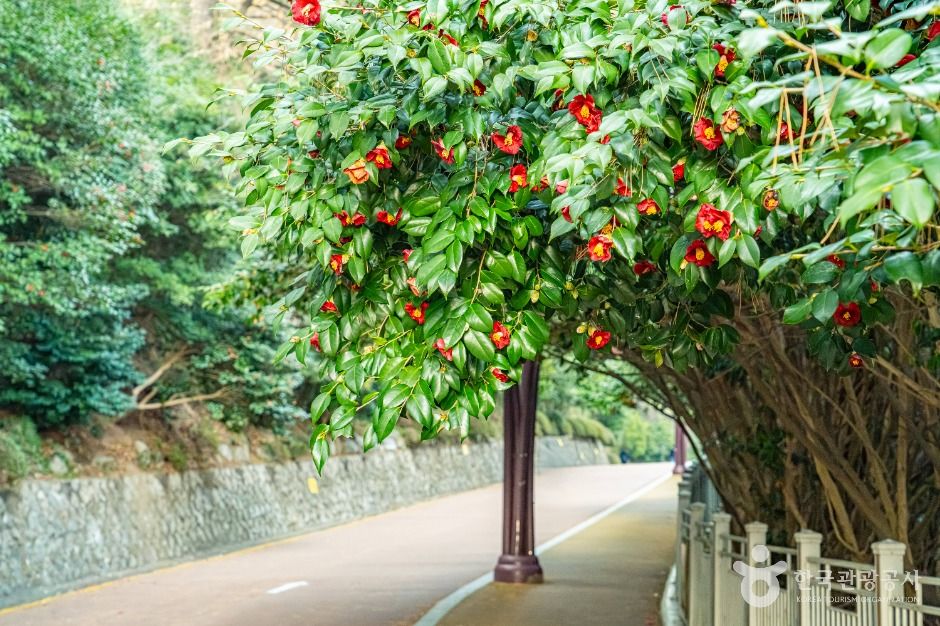 부산_동백공원 (3)