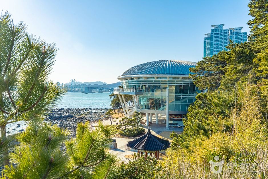 부산_동백공원 (6)