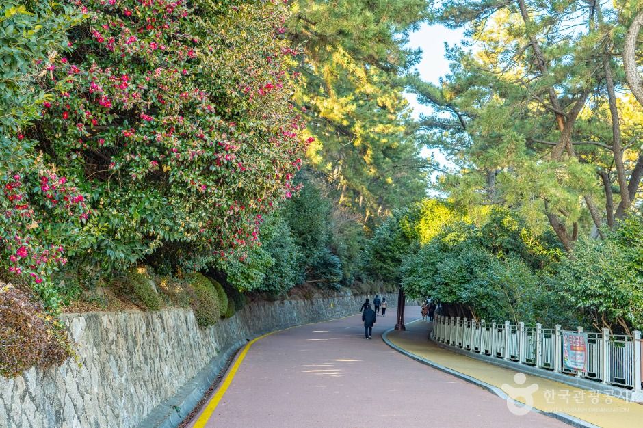 부산_동백공원 (7)