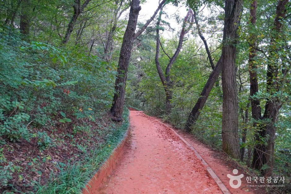 부산_땅뫼산 (5)