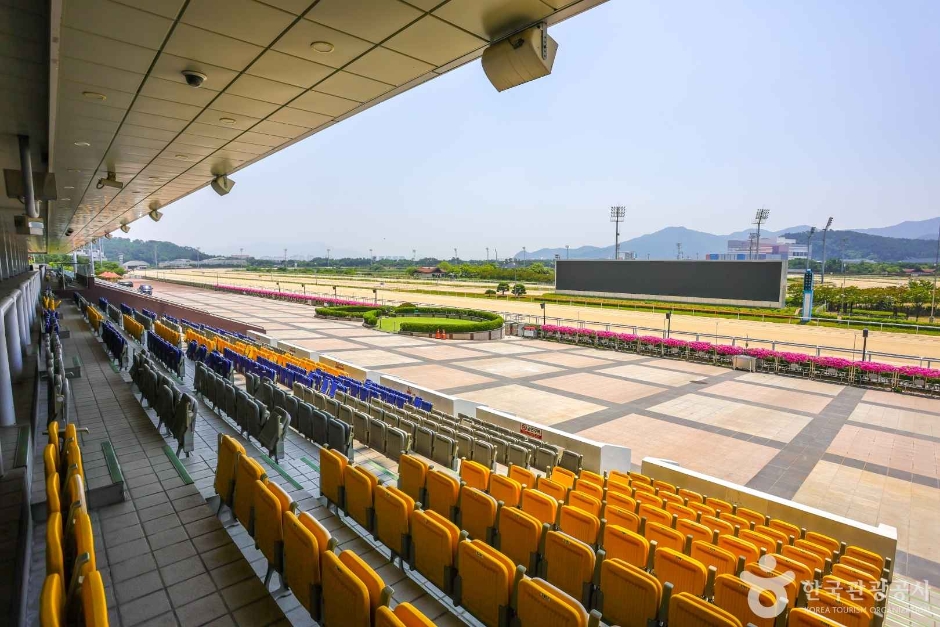 렛츠런파크부산경남 (4)