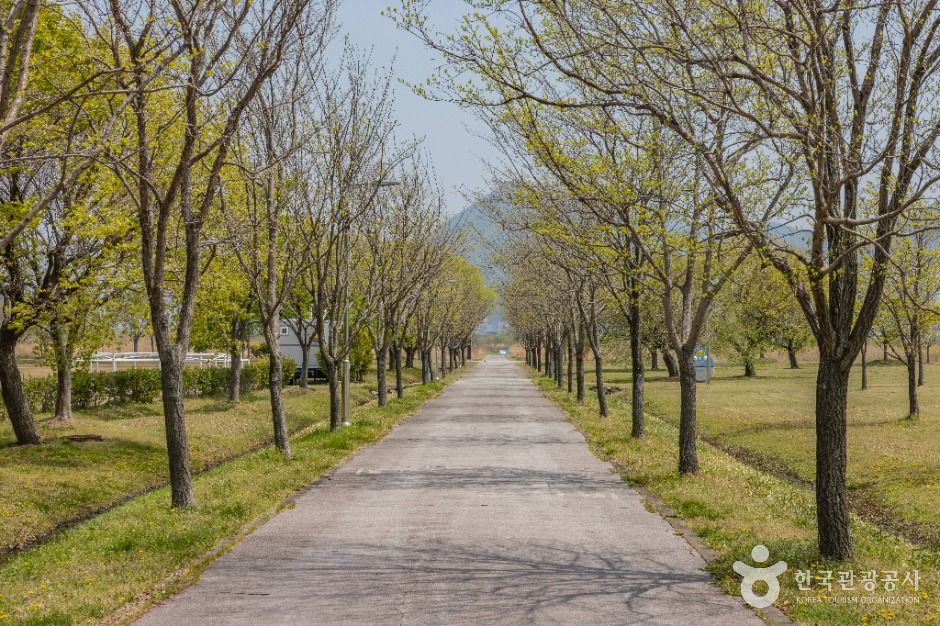 부산_맥도생태공원 (2)