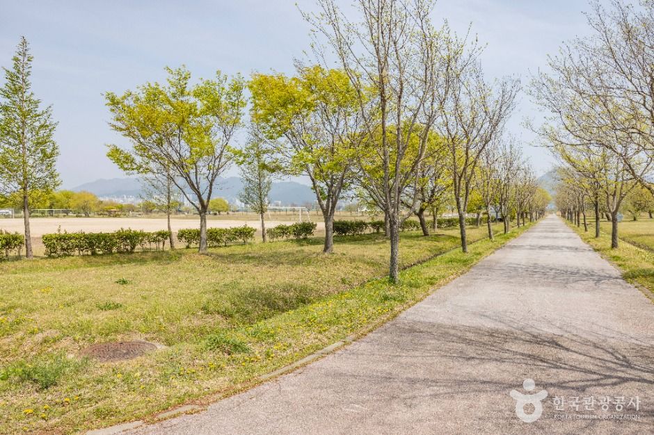 부산_맥도생태공원 (3)