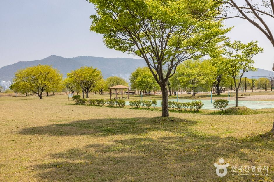 부산_맥도생태공원 (4)