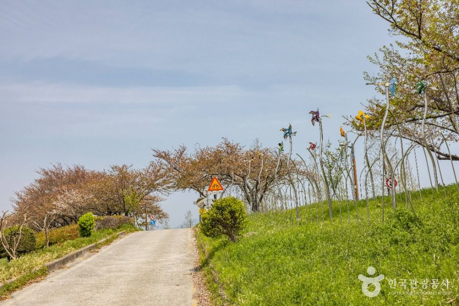 부산_맥도생태공원 (7)