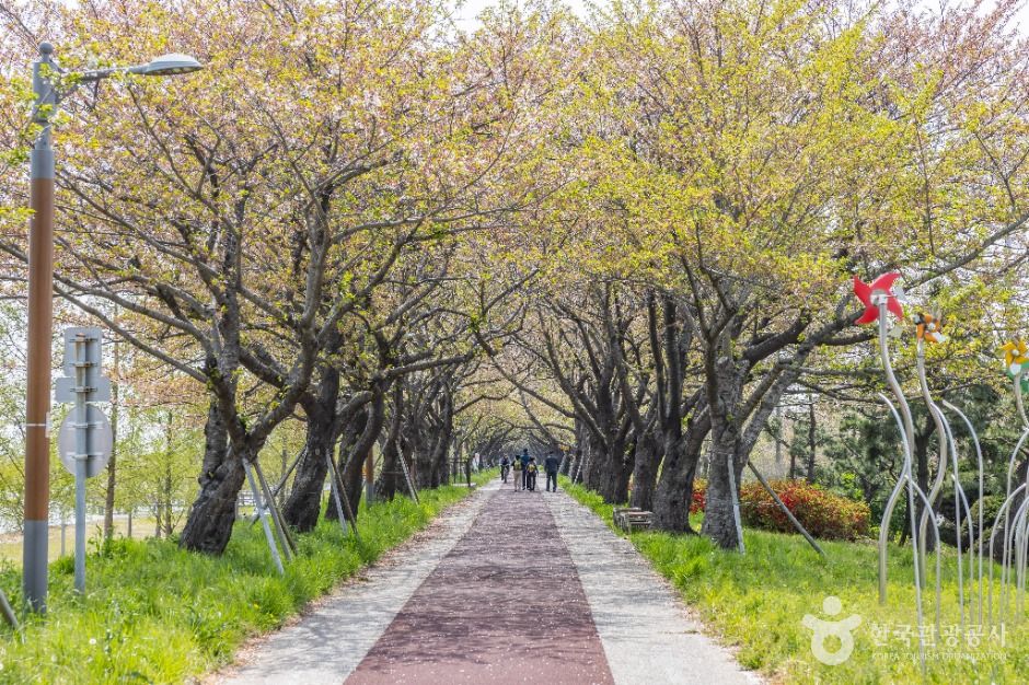 부산_맥도생태공원 (8)