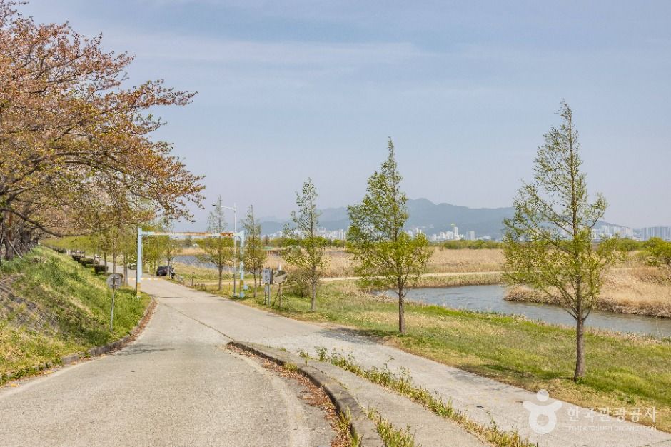 부산_맥도생태공원 (9)