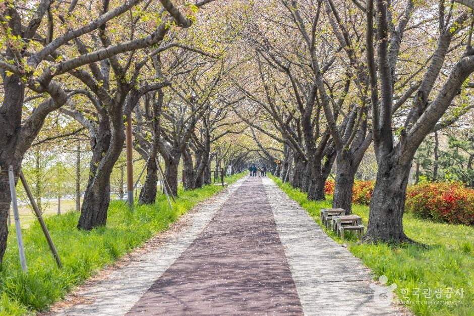 부산_맥도생태공원 (10)