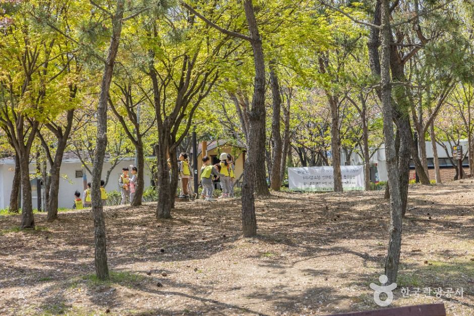 부산_명지동근린공원 (5)