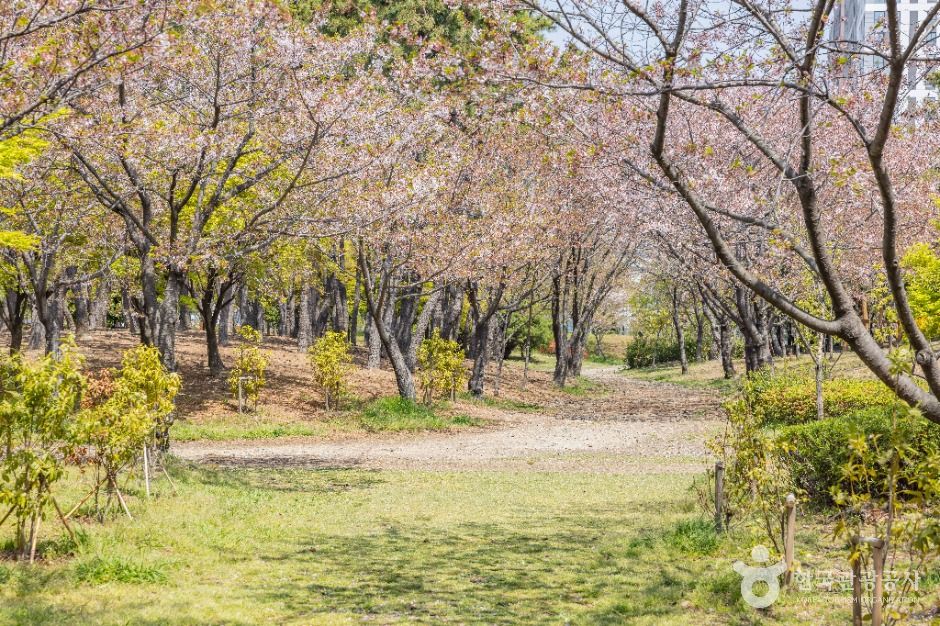 부산_명지동근린공원 (6)