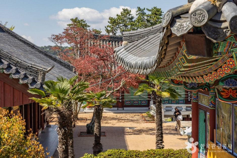 부산_묘관음사 (5)