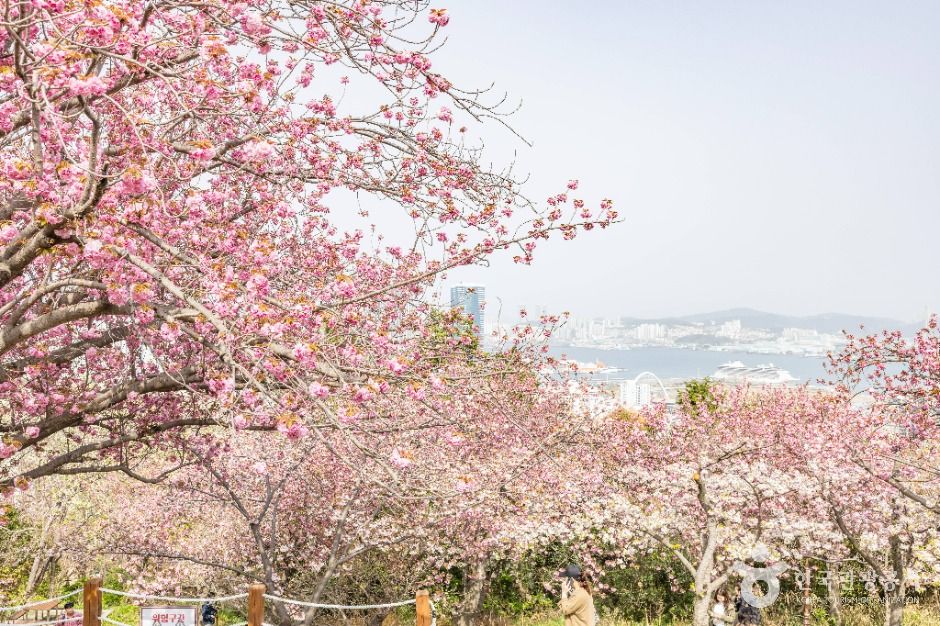 부산_민주공원 (19)