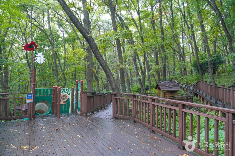 부산_백양산 웰빙숲 (2)