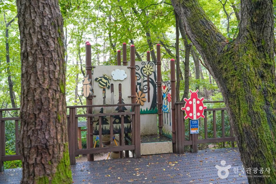 부산_백양산 웰빙숲 (3)