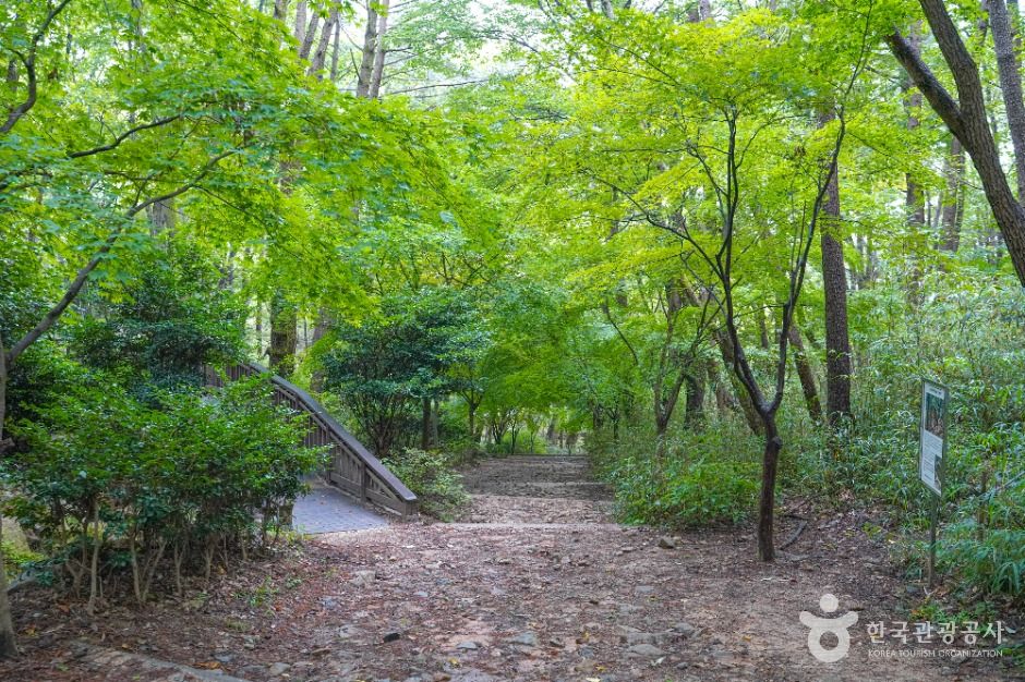 부산_백양산 웰빙숲 (4)