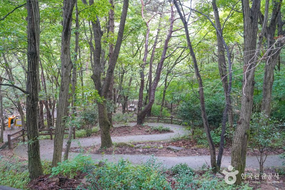 부산_백양산 웰빙숲 (6)