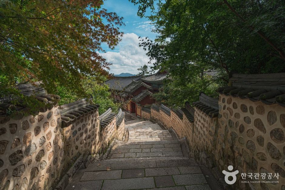 부산_범어사(부산) (3)