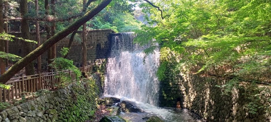 부산_부산 어린이대공원 (1)