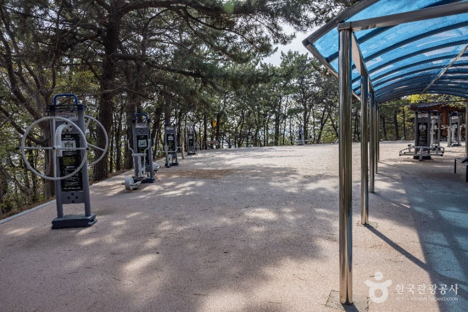 부산_부산에덴공원 (4)