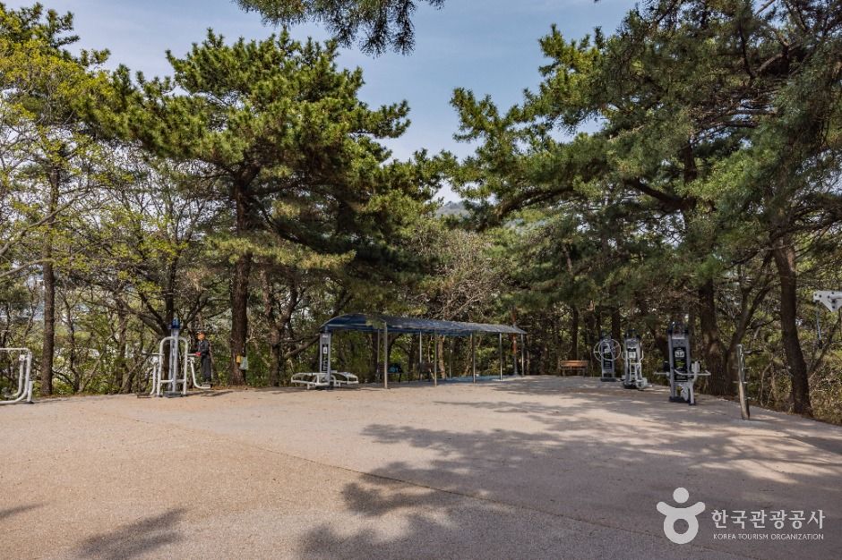 부산_부산에덴공원 (6)