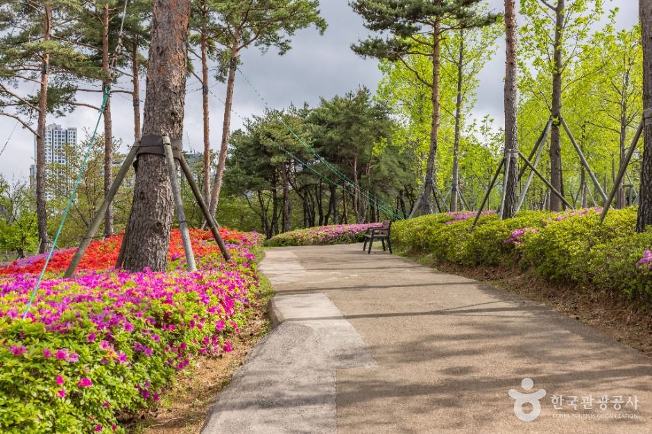 부산_부산시민공원 (13)