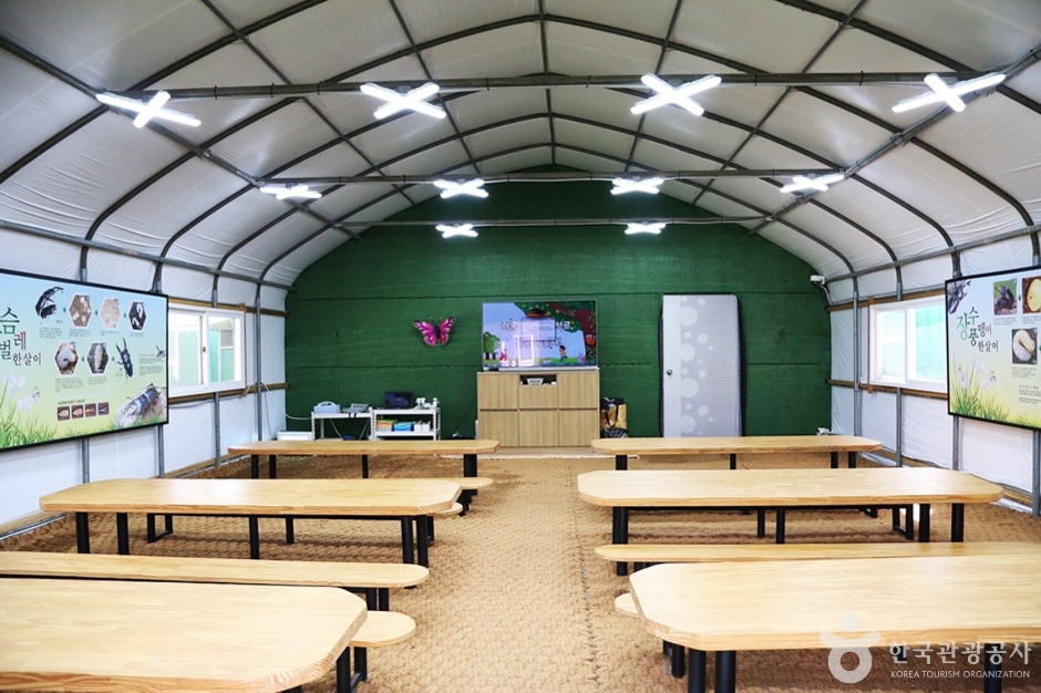 부산자연곤충마을 (7)