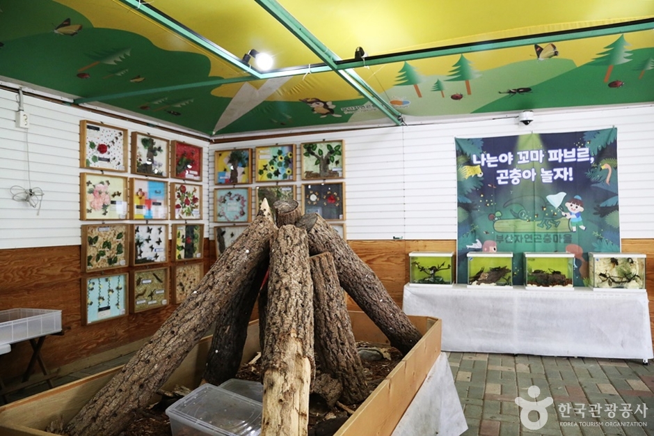 부산자연곤충마을 (12)