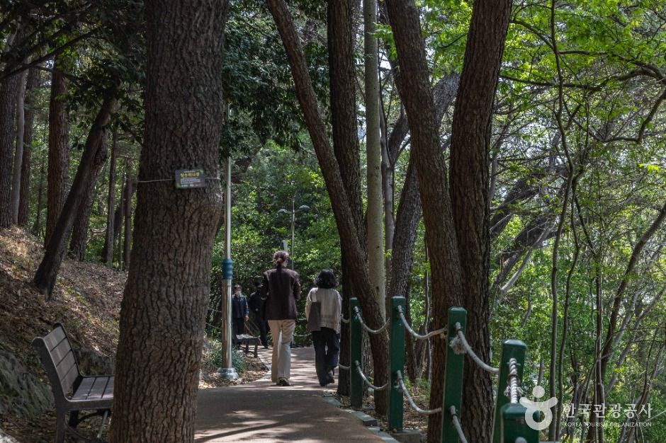 부산_부산진성공원 (5)
