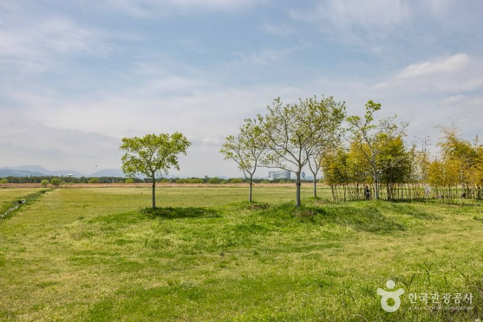 부산_삼락생태공원 (2)