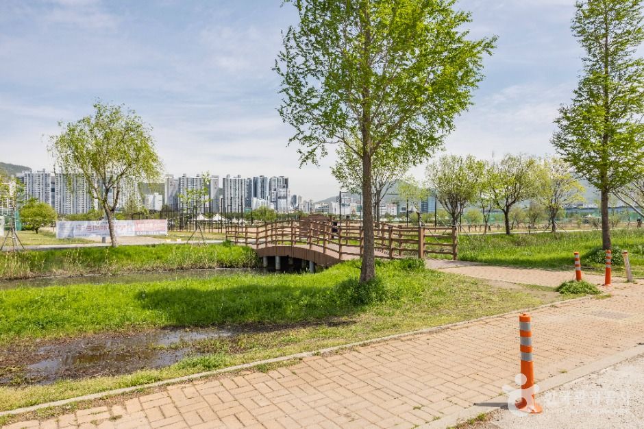 부산_삼락생태공원 (4)