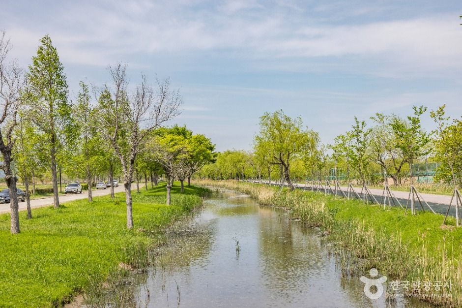 부산_삼락생태공원 (5)