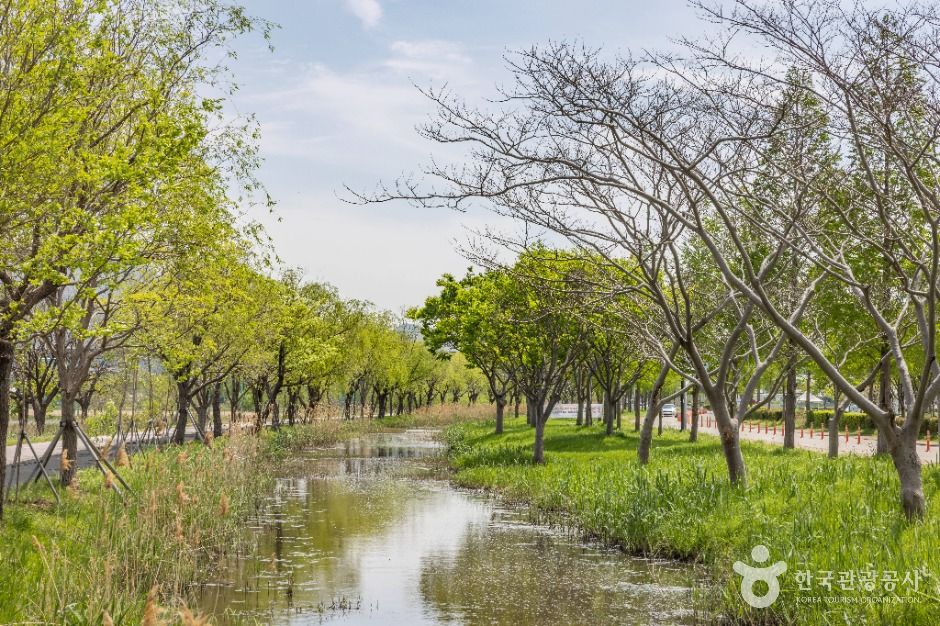 부산_삼락생태공원 (6)