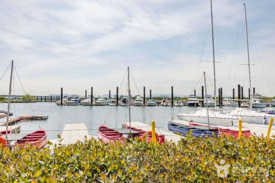 부산_삼락생태공원 (7)