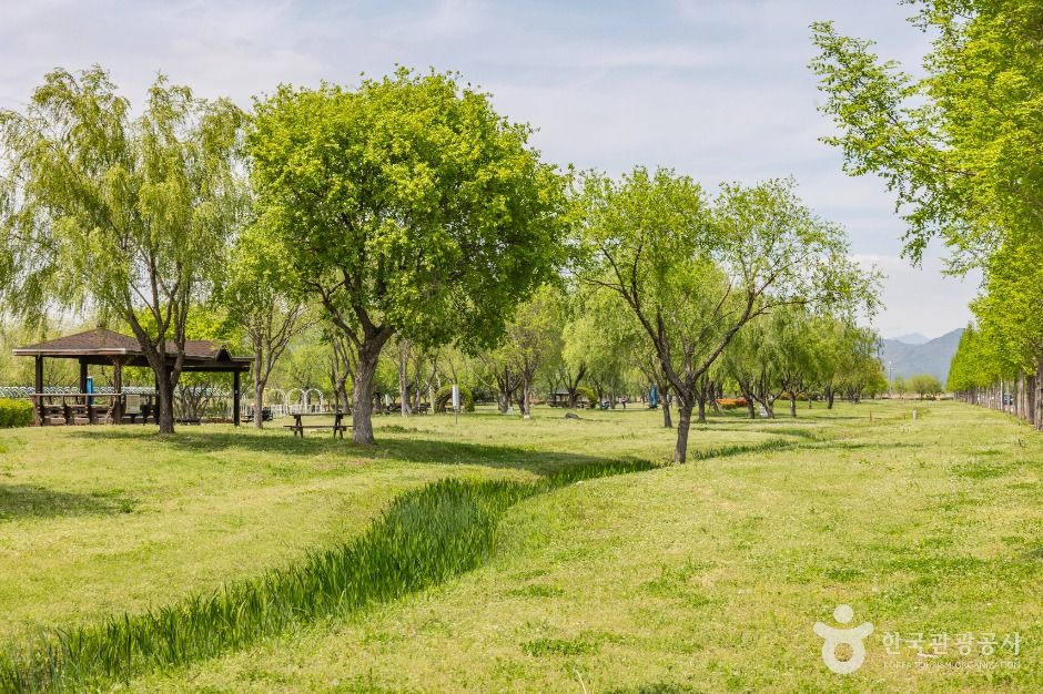 부산_삼락생태공원 (8)