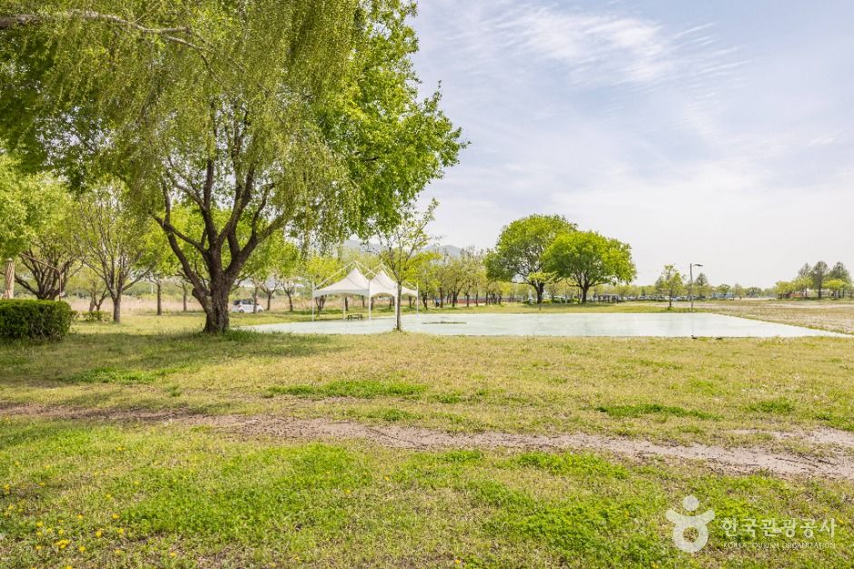 부산_삼락생태공원 (15)