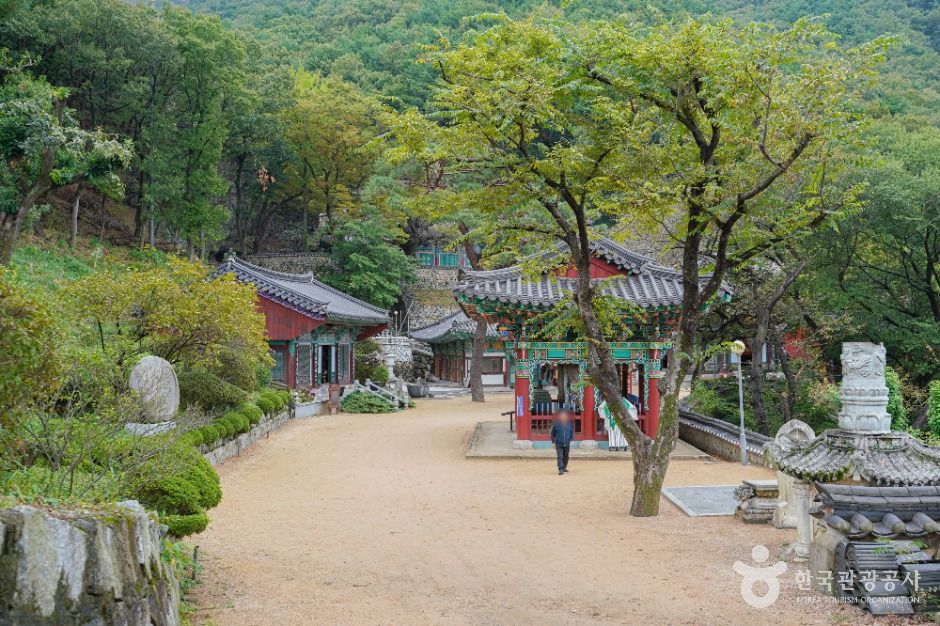 부산_선암사(부산) (1)