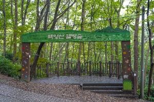 백양산 웰빙숲