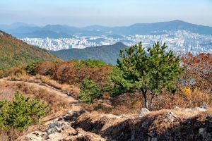 백양산 (부산 국가지질공원)
