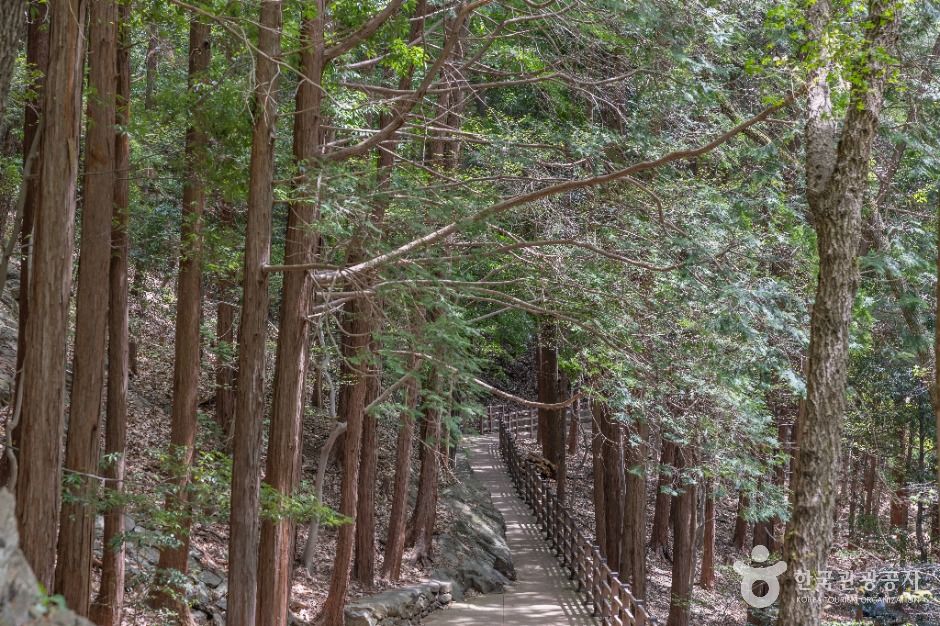 부산_성지곡수원지 (3)