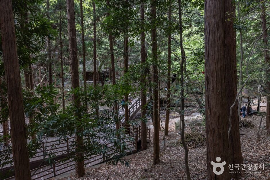 부산_성지곡수원지 (4)