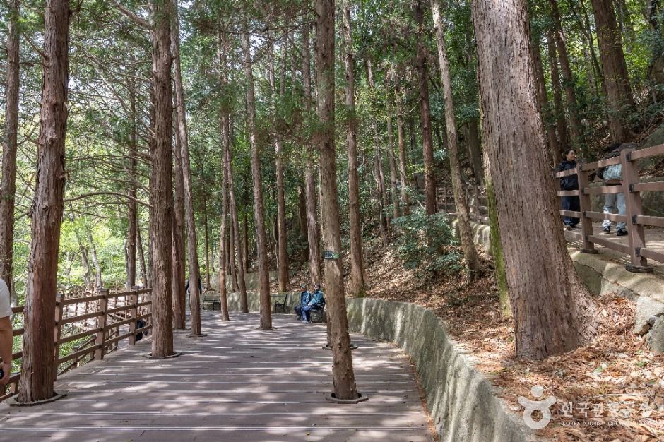 부산_성지곡수원지 (6)