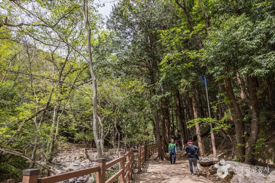 부산_성지곡수원지 (7)